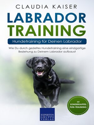 cover image of Labrador Training – Hundetraining für Deinen Labrador
